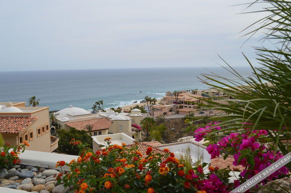 Villa Las Flores Cabo San Lucas Dış mekan fotoğraf