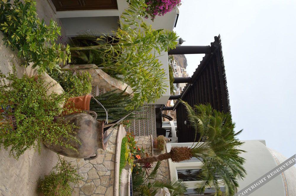 Villa Las Flores Cabo San Lucas Dış mekan fotoğraf